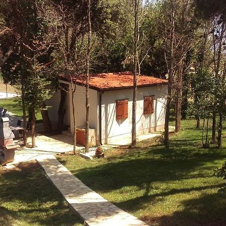 بريمونتيرا Ribarska Kuca Romana المظهر الخارجي الصورة