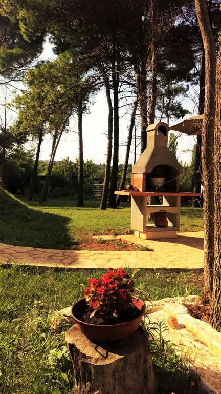 بريمونتيرا Ribarska Kuca Romana المظهر الخارجي الصورة